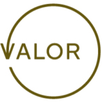 logo valor